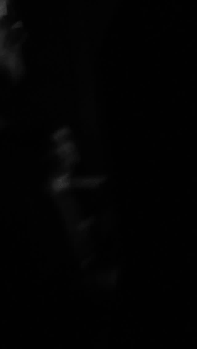 Instagram post from salmononaleash. This post is in position 4.